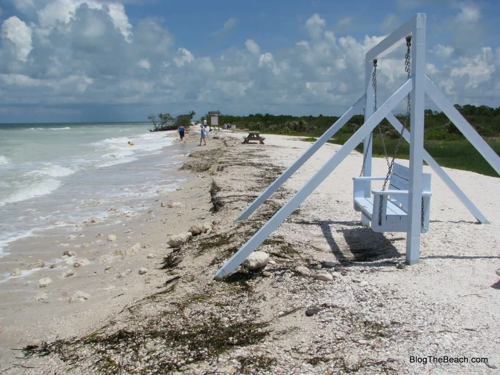 9267 honeymoon island beach webcam birds