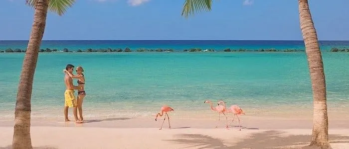 9272 aruba snorkeling