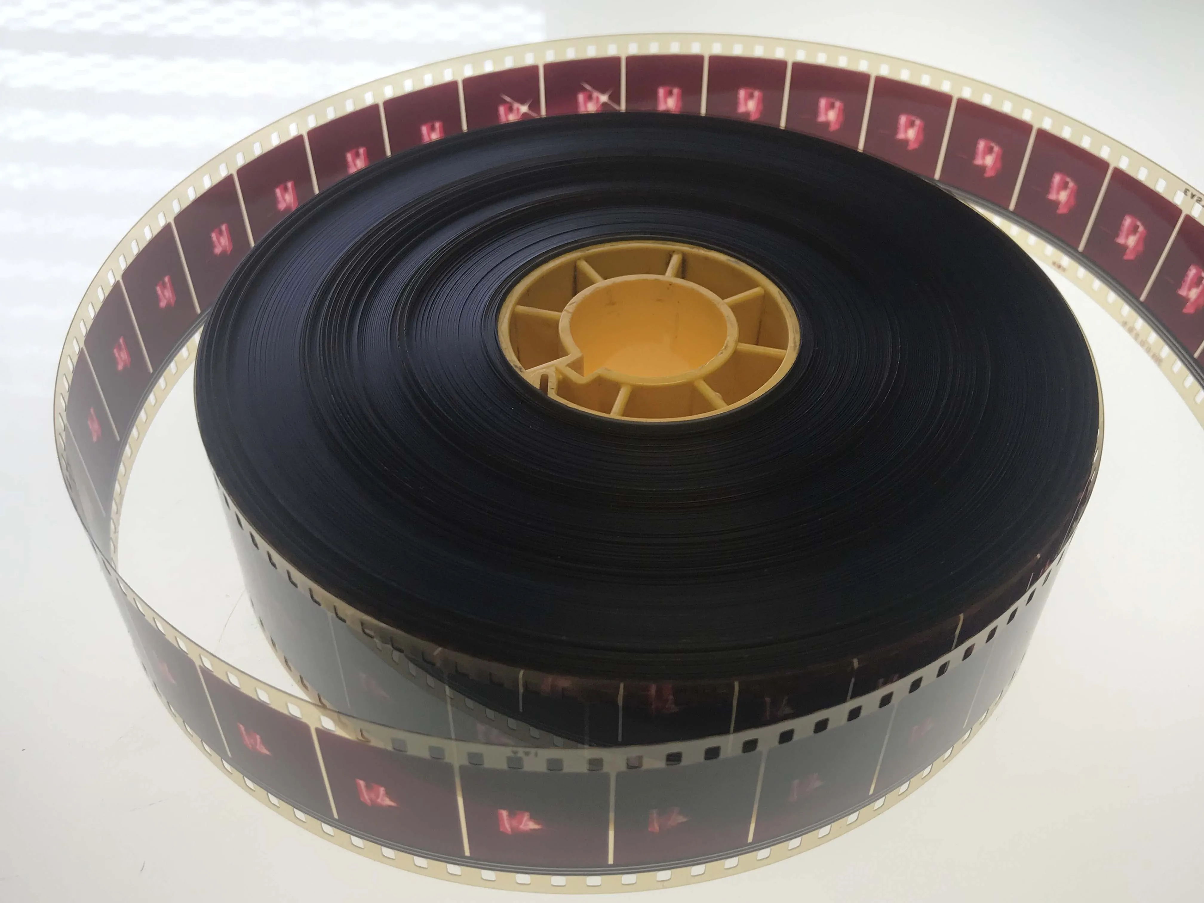 9283 maldives honeymoon