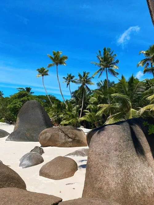 9294 maldives honeymoon