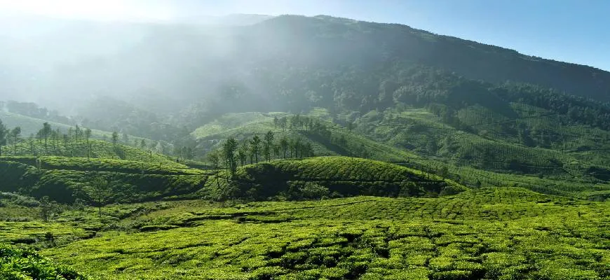 9301 kerala honeymoon boat house 6