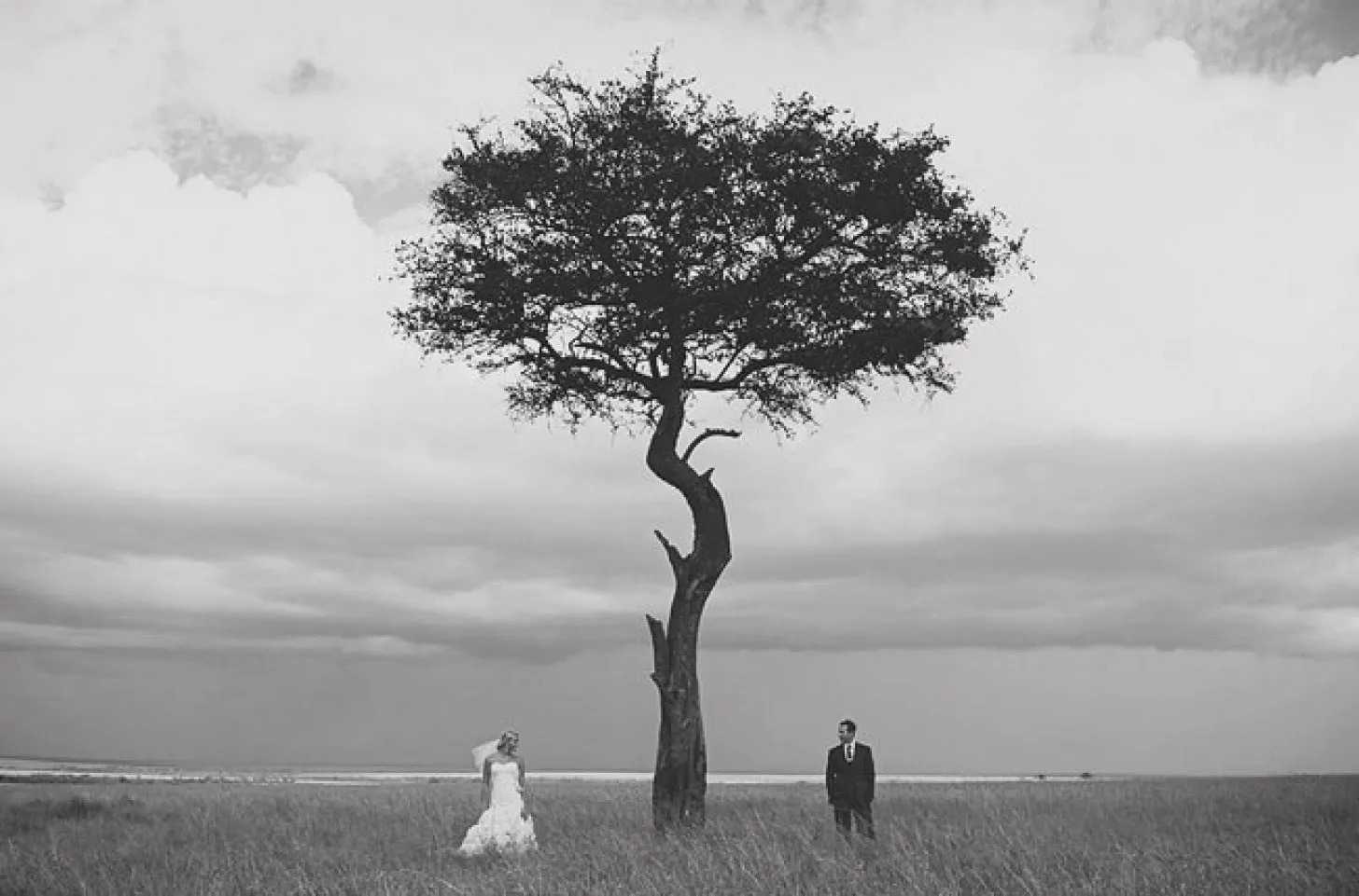 9302 safari couple photos