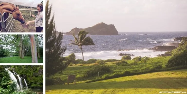 9313 maui honeymoon sunset dinner