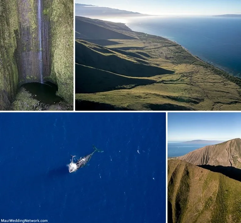 9313 maui rental car