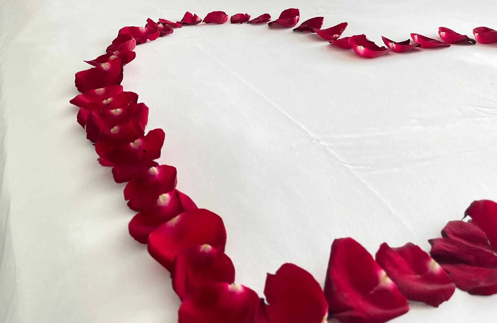 9316 hotel room view