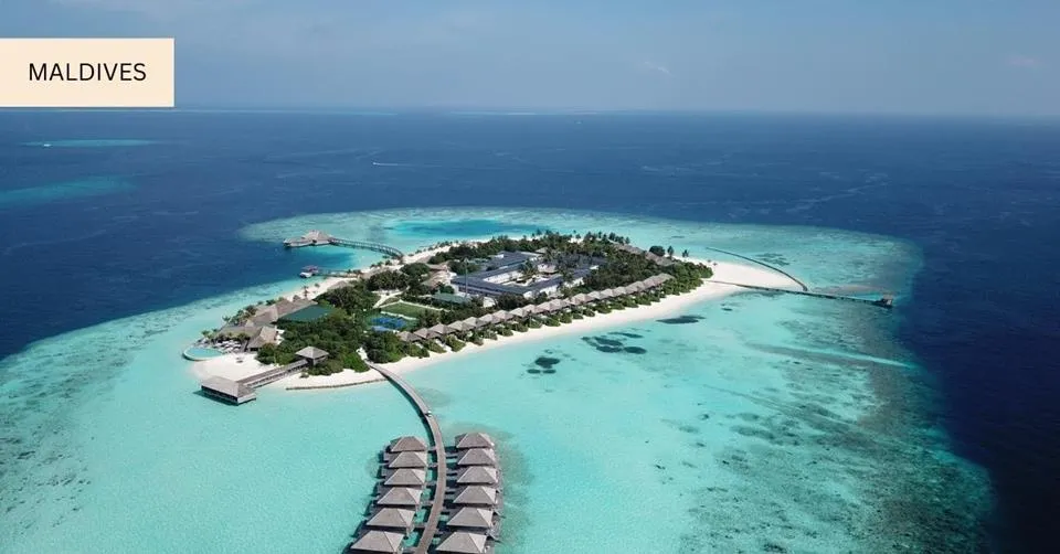 9319 packing essentials