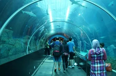 9329 singapore adventure