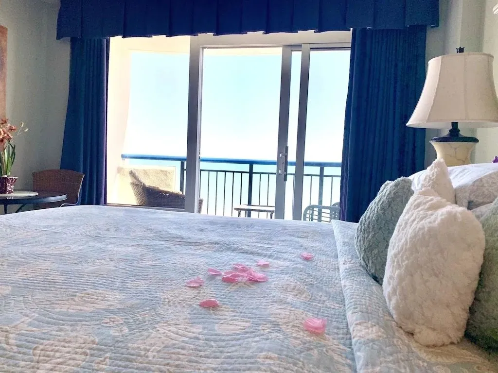 9331 atlanta hotel honeymoon suite view